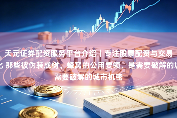 天元证券配资服务平台介绍｜专注股票配资与交易布局优化 那些被伪装成树、蜂窝的公用要领，是需要破解的城市机密
